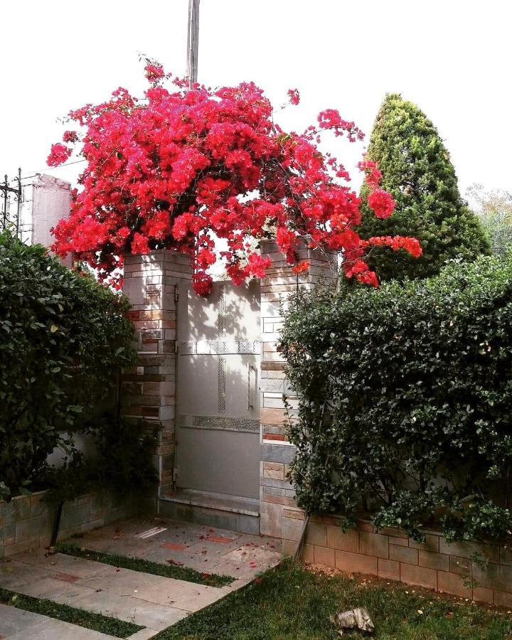 Fantastic Villa, A 5 Minute Drive From The Beach! Atenas Exterior foto